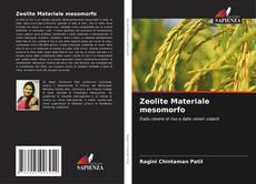 Zeolite Materiale mesomorfo的封面