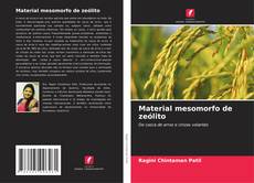 Couverture de Material mesomorfo de zeólito