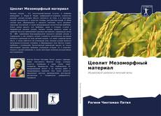 Buchcover von Цеолит Мезоморфный материал