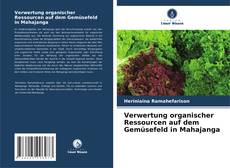 Verwertung organischer Ressourcen auf dem Gemüsefeld in Mahajanga kitap kapağı