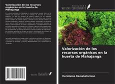 Обложка Valorización de los recursos orgánicos en la huerta de Mahajanga