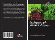 Couverture de Valorizzazione delle risorse biologiche nell'orto di Mahajanga