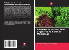 Capa do livro de Valorização dos recursos orgânicos na horta de Mahajanga 