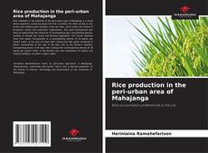 Buchcover von Rice production in the peri-urban area of Mahajanga