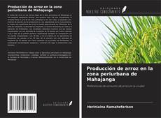 Borítókép a  Producción de arroz en la zona periurbana de Mahajanga - hoz