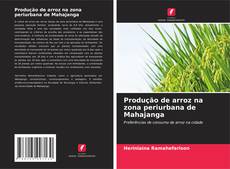 Bookcover of Produção de arroz na zona periurbana de Mahajanga