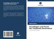 Grundlagen und Praxis der Corporate Governance kitap kapağı