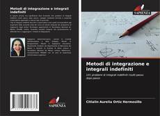 Metodi di integrazione e integrali indefiniti kitap kapağı