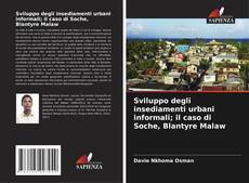 Sviluppo degli insediamenti urbani informali; il caso di Soche, Blantyre Malaw的封面