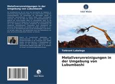 Metallverunreinigungen in der Umgebung von Lubumbashi kitap kapağı