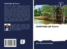 ШАБУНДА ДР Конго kitap kapağı