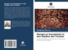 Mangel an Energieholz in den Städten des Tschads kitap kapağı