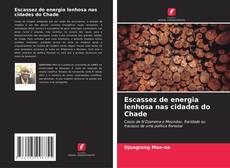 Buchcover von Escassez de energia lenhosa nas cidades do Chade