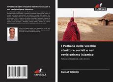 I Pathans nelle vecchie strutture sociali e nel revisionismo islamico的封面