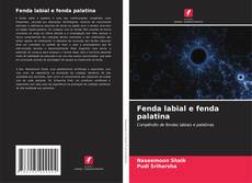 Bookcover of Fenda labial e fenda palatina