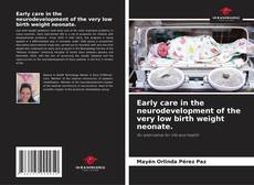 Portada del libro de Early care in the neurodevelopment of the very low birth weight neonate.