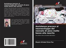 Capa do livro de Assistenza precoce al neurosviluppo del neonato di peso molto basso alla nascita 