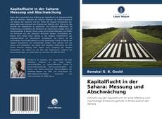 Borítókép a  Kapitalflucht in der Sahara: Messung und Abschwächung - hoz