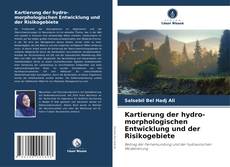 Kartierung der hydro-morphologischen Entwicklung und der Risikogebiete kitap kapağı