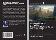 Buchcover von Cartografía de la evolución hidromorfológica y de las zonas de riesgo