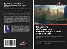 Mappatura dell'evoluzione idromorfologica e delle aree a rischio的封面
