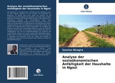 Analyse der sozioökonomischen Anfälligkeit der Haushalte in Ngozi kitap kapağı