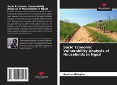 Buchcover von Socio Economic Vulnerability Analysis of Households in Ngozi