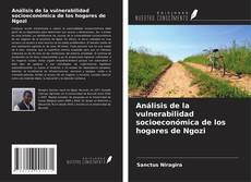 Bookcover of Análisis de la vulnerabilidad socioeconómica de los hogares de Ngozi