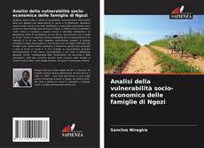 Portada del libro de Analisi della vulnerabilità socio-economica delle famiglie di Ngozi