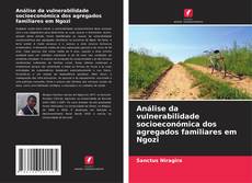 Capa do livro de Análise da vulnerabilidade socioeconómica dos agregados familiares em Ngozi 