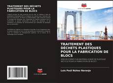 TRAITEMENT DES DÉCHETS PLASTIQUES POUR LA FABRICATION DE BLOCS kitap kapağı