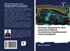 Bookcover of Питание будущего: Как аккумуляторные технологии преобразуют электромобили