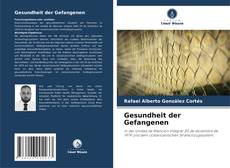 Gesundheit der Gefangenen的封面