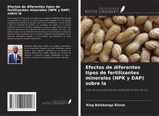 Capa do livro de Efectos de diferentes tipos de fertilizantes minerales (NPK y DAP) sobre la 