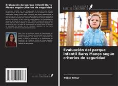 Buchcover von Evaluación del parque infantil Barış Manço según criterios de seguridad