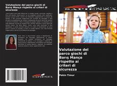Copertina di Valutazione del parco giochi di Barış Manço rispetto ai criteri di sicurezza