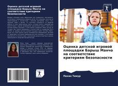 Buchcover von Оценка детской игровой площадки Барыш Манчо на соответствие критериям безопасности