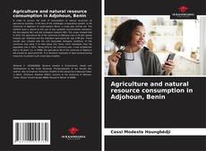 Capa do livro de Agriculture and natural resource consumption in Adjohoun, Benin 