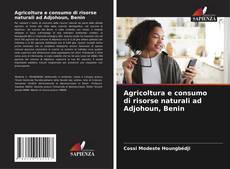 Couverture de Agricoltura e consumo di risorse naturali ad Adjohoun, Benin