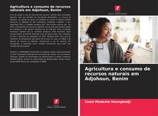 Agricultura e consumo de recursos naturais em Adjohoun, Benim kitap kapağı