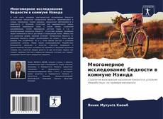 Portada del libro de Многомерное исследование бедности в коммуне Нзинда