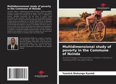 Bookcover of Multidimensional study of poverty in the Commune of Nzinda