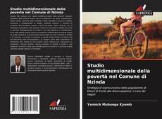Copertina di Studio multidimensionale della povertà nel Comune di Nzinda