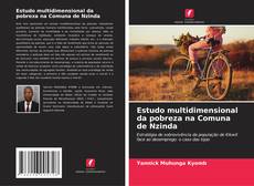 Estudo multidimensional da pobreza na Comuna de Nzinda kitap kapağı
