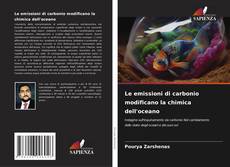 Couverture de Le emissioni di carbonio modificano la chimica dell'oceano