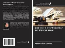 Buchcover von Una visión interdisciplinar del sistema penal