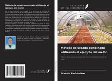 Buchcover von Método de secado combinado utilizando el ejemplo del melón