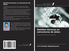 Bookcover of Detalles técnicos en estructuras de datos