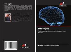 Bookcover of Imbroglio