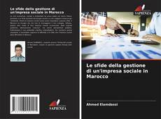 Borítókép a  Le sfide della gestione di un'impresa sociale in Marocco - hoz